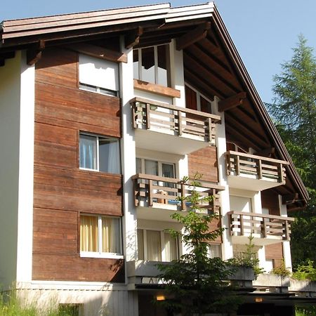 Charming And Cosy Apartment Мюррен Экстерьер фото